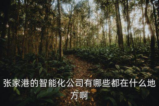 濱湖區(qū)營銷智能科技有哪些，張家港的智能化公司有哪些都在什么地方啊