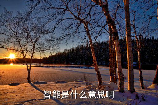 智能是什么意思啊