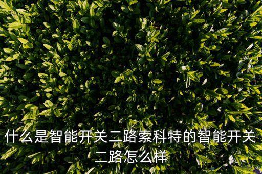 什么是智能開關(guān)二路索科特的智能開關(guān)二路怎么樣