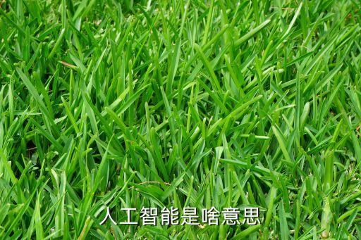 人工智能是啥意思