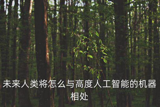 未來人類將怎么與高度人工智能的機器相處