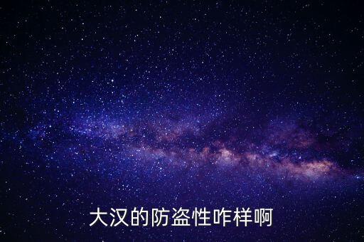 大漢的防盜性咋樣啊