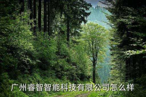 睿信諾智能科技怎么樣，廣州睿智智能科技有限公司怎么樣