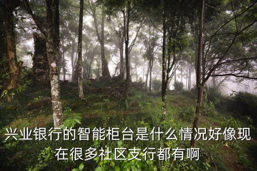 科技智能柜臺是什么軟件，興業(yè)銀行的智能柜臺是什么情況好像現(xiàn)在很多社區(qū)支行都有啊