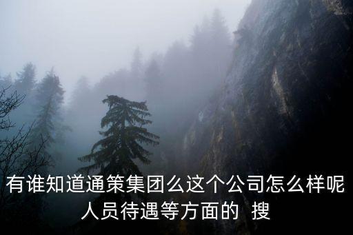 有誰(shuí)知道通策集團(tuán)么這個(gè)公司怎么樣呢人員待遇等方面的  搜