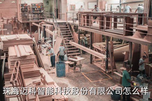 珠海邁科智能科技股份有限公司怎么樣