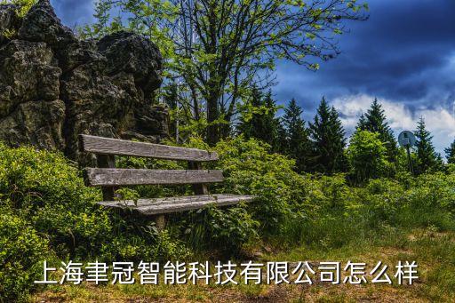 海南航冠智能科技怎么樣，上海聿冠智能科技有限公司怎么樣