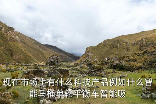 現(xiàn)在市場(chǎng)上有什么科技產(chǎn)品例如什么智能馬桶單輪平衡車智能吸