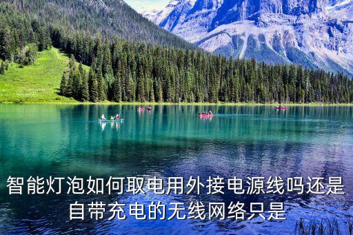 智能燈泡如何取電用外接電源線嗎還是自帶充電的無線網(wǎng)絡(luò)只是