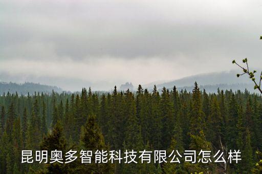昆明奧多智能科技有限公司怎么樣