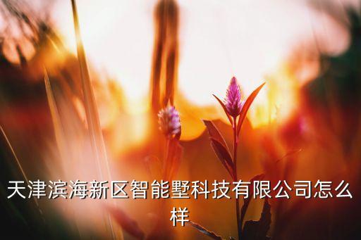 天津濱海新區(qū)智能墅科技有限公司怎么樣