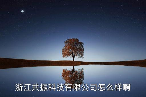 浙江共振科技有限公司怎么樣啊