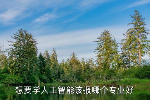 想要學人工智能該報哪個專業(yè)好