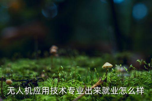 無人機應用技術專業(yè)出來就業(yè)怎么樣