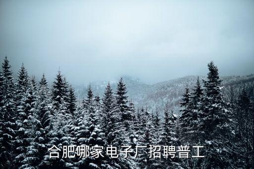 合肥哪家電子廠招聘普工