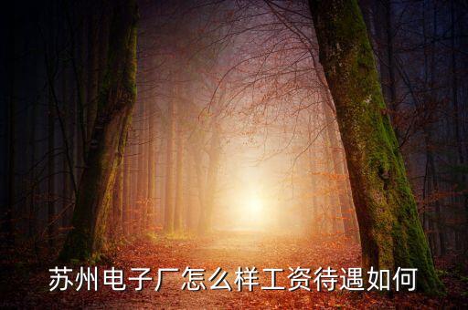 蘇州超群智能科技待遇怎么，蘇州新區(qū)群星電子工資怎樣