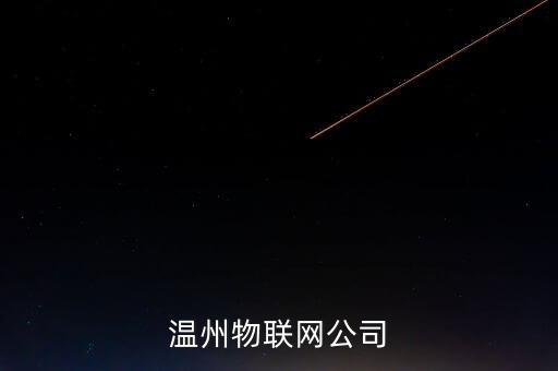 溫州物聯(lián)網(wǎng)公司