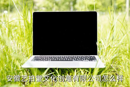 安徽藝拍堂文化創(chuàng)意有限公司怎么樣