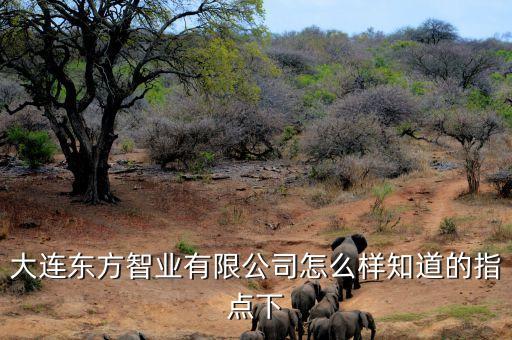 大連東方智業(yè)有限公司怎么樣知道的指點下