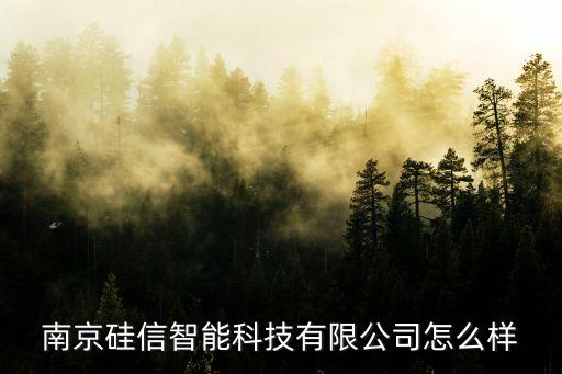 南京硅信智能科技有限公司怎么樣