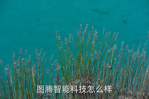 安徽點(diǎn)騰智能科技怎么樣，安徽奮騰智力科技公司有人去考察過(guò)嗎是一個(gè)貸款中介嗎