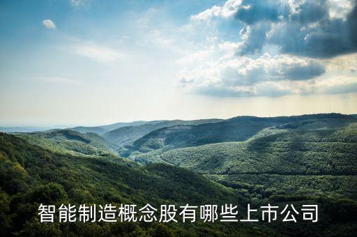 智能科技類有哪些上市公司，智能硬件上市公司有哪些