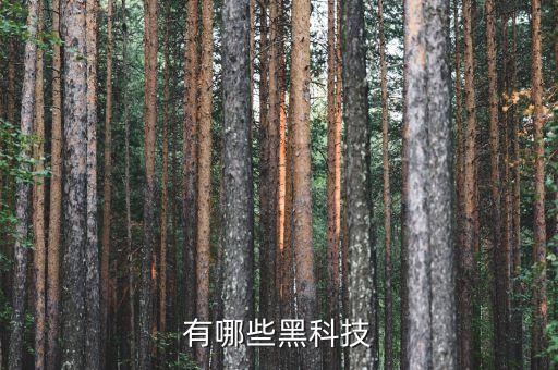 人工智能應(yīng)用黑科技有哪些，人工智能的應(yīng)用領(lǐng)域有哪些