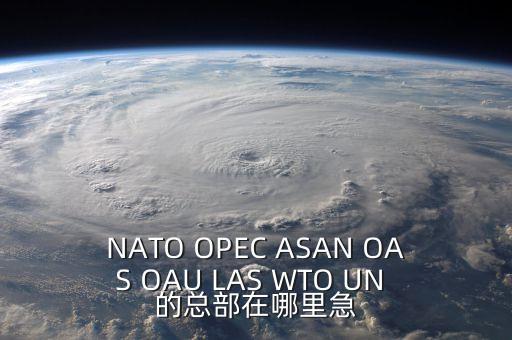 NATO OPEC ASAN OAS OAU LAS WTO UN 的總部在哪里急