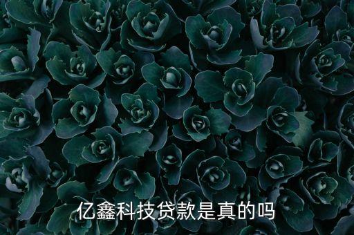 億鑫科技貸款是真的嗎
