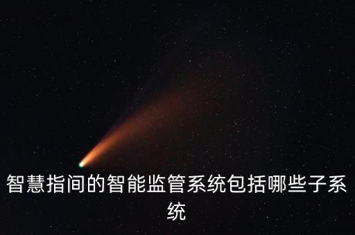 智慧指間的智能監(jiān)管系統(tǒng)包括哪些子系統(tǒng)