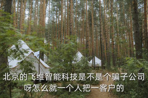 北京的飛維智能科技是不是個騙子公司呀怎么就一個人把一客戶的