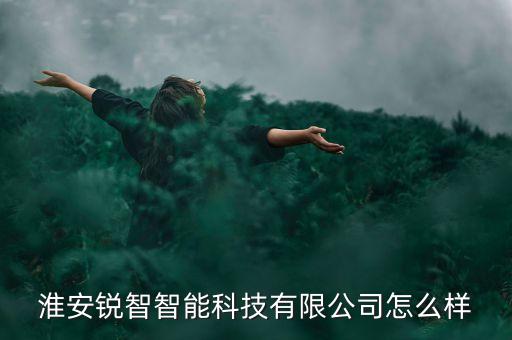 淮安銳智智能科技有限公司怎么樣