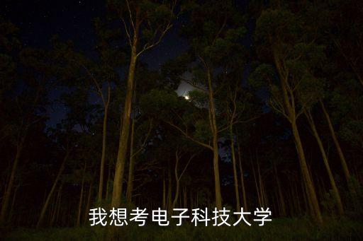 我想考電子科技大學(xué)