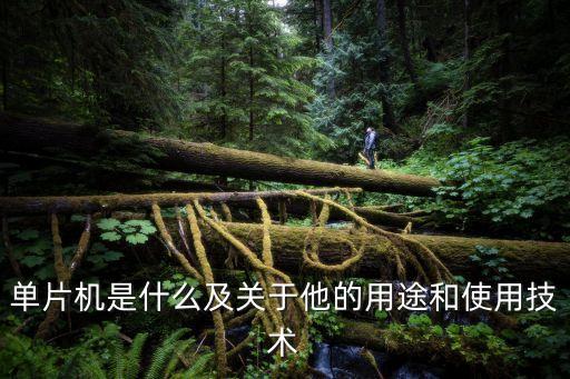 智能科技主題單片機(jī)是什么，單片機(jī)是什么及關(guān)于他的用途和使用技術(shù)