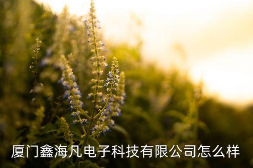 廈門鑫海凡電子科技有限公司怎么樣