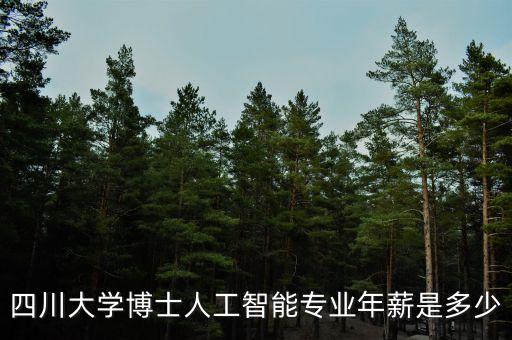四川大學(xué)博士人工智能專業(yè)年薪是多少