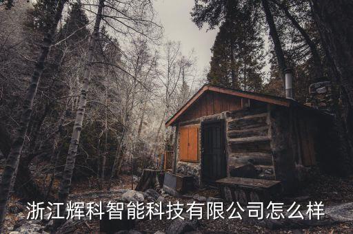 浙江輝科智能科技有限公司怎么樣