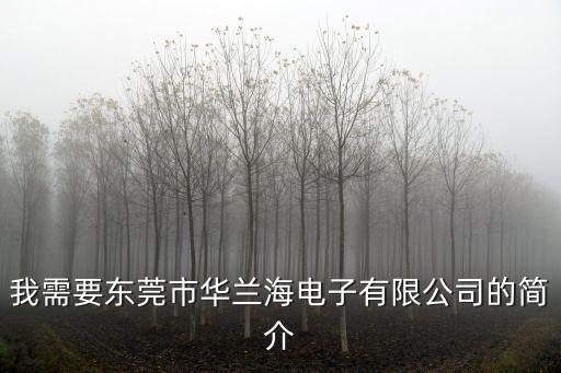 我需要東莞市華蘭海電子有限公司的簡(jiǎn)介