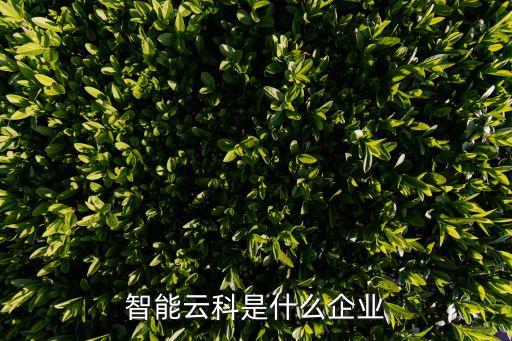 智能云科是什么企業(yè)