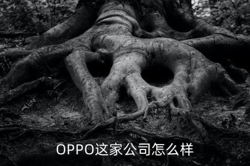 OPPO這家公司怎么樣