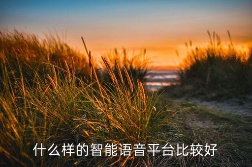 什么樣的智能語音平臺比較好