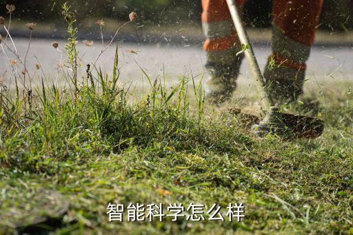智能科學(xué)怎么樣