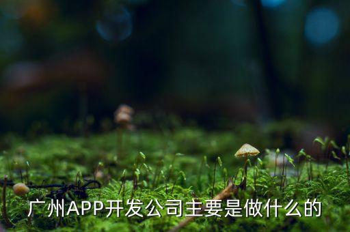 廣州APP開(kāi)發(fā)公司主要是做什么的