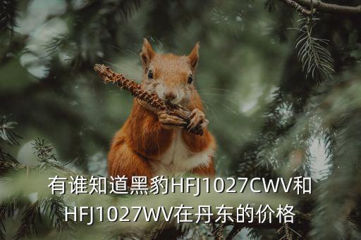 有誰知道黑豹HFJ1027CWV和HFJ1027WV在丹東的價格