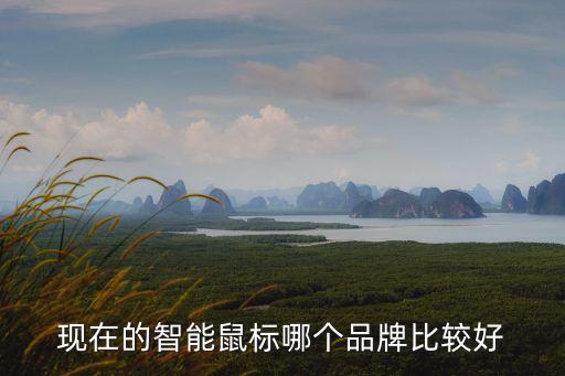 現(xiàn)在的智能鼠標(biāo)哪個(gè)品牌比較好