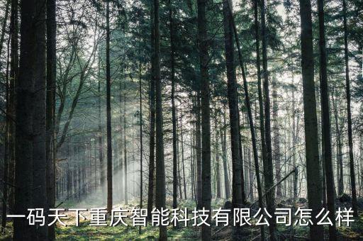 一碼天下重慶智能科技有限公司怎么樣