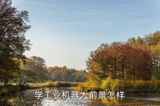 學(xué)工業(yè)機(jī)器人前景怎樣