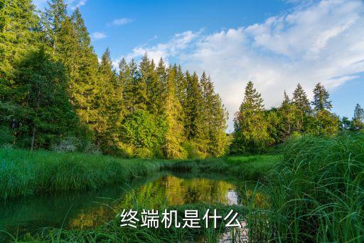 終端機(jī)是什么