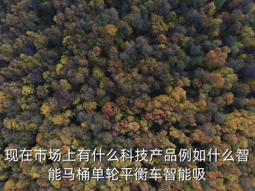 現(xiàn)在市場上有什么科技產(chǎn)品例如什么智能馬桶單輪平衡車智能吸