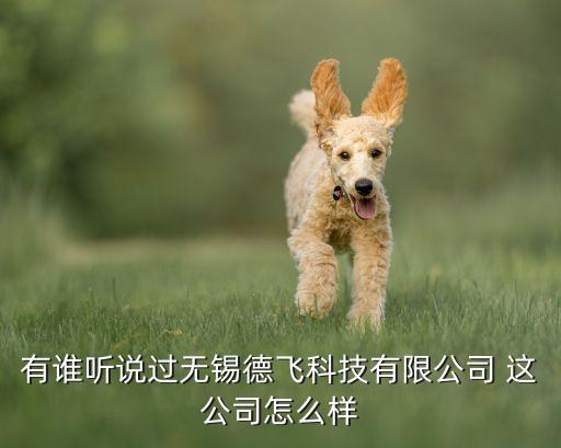 有誰(shuí)聽(tīng)說(shuō)過(guò)無(wú)錫德飛科技有限公司 這公司怎么樣